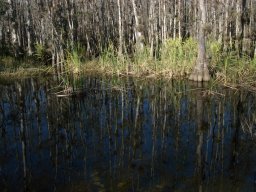 Florida_2007-2008-016